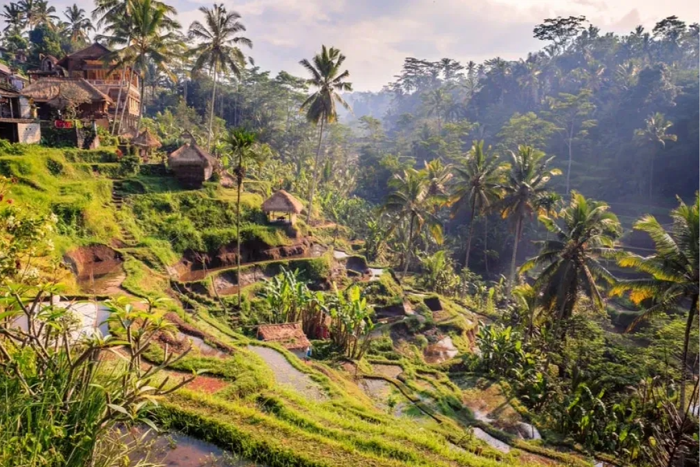 INDONESIA